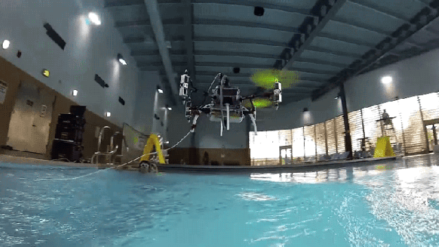 These Wild Robots Will Compete To Explore The Last Frontier On Earth