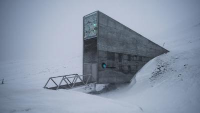 Scientists Add 50,000 Seeds To Arctic Doomsday Vault Because Everything Is Awful