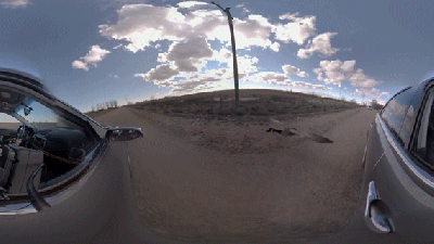 360° Video Of Goose In Love With Car Shows Why All Local News Should Be 360°