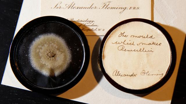 90-Year-Old Mould Sold For Almost $15k