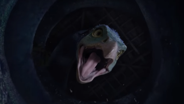 The Word J.K. Rowling Created For One Of Her Fantastic Beasts Creatures Will Break Your Face