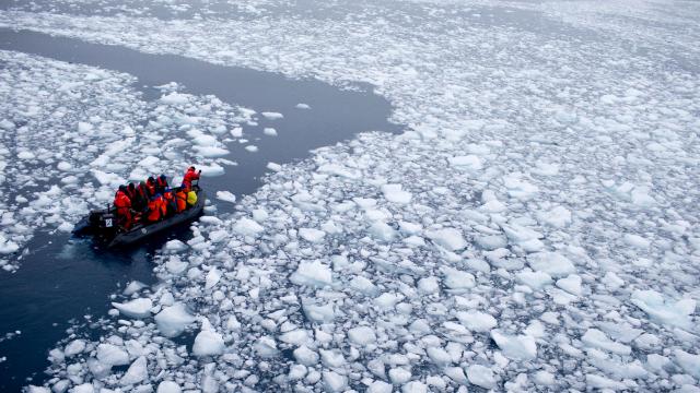 Antarctic Sea Ice Crashed This Year And Scientists Don’t Know Why