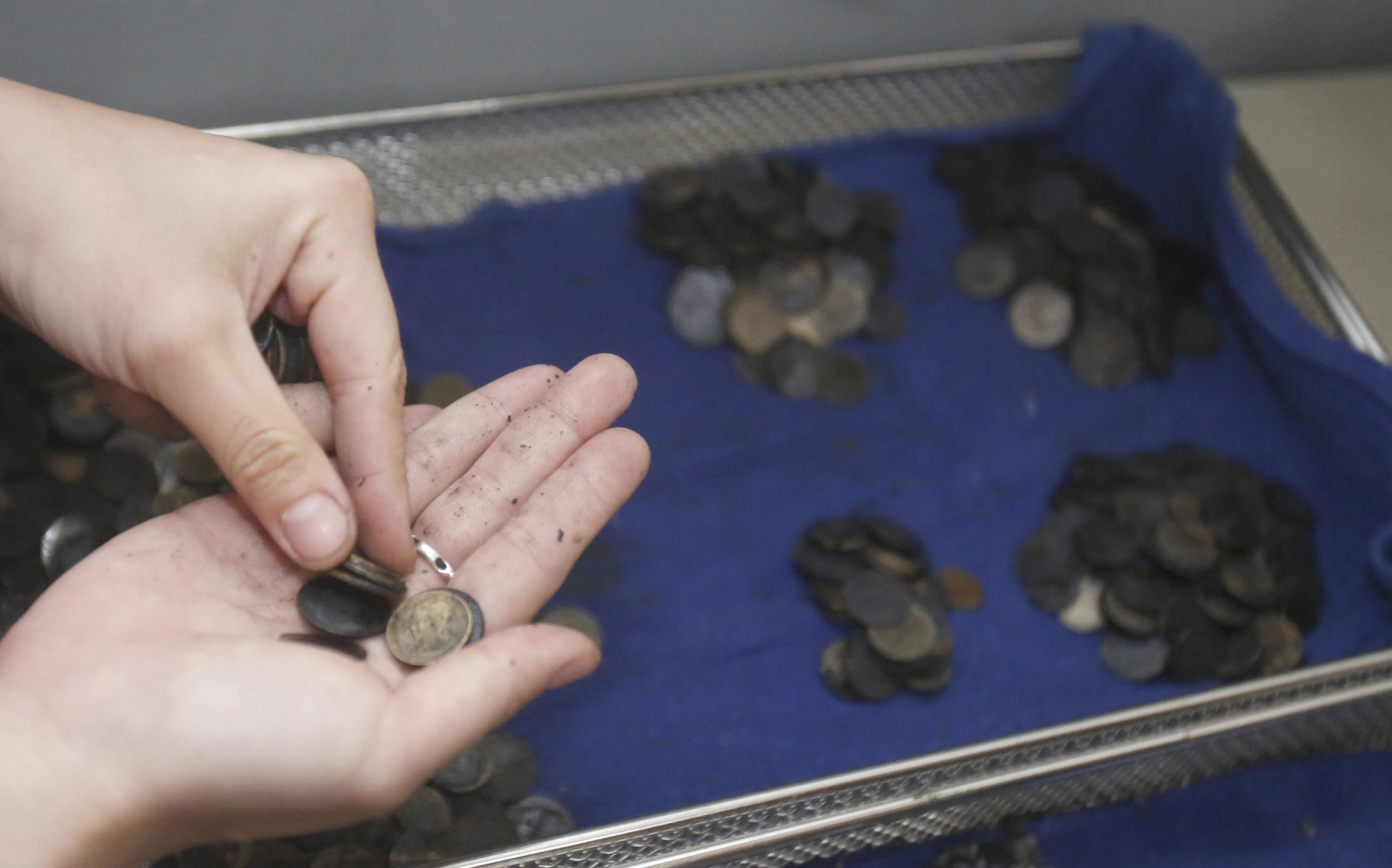 Surgeons Remove 915 Coins From The Belly Of A Sea Turtle