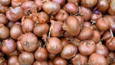 Google’s Algorithm Is Lying To You About Onions And Blaming Me For It 