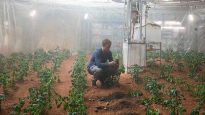 Matt Damon Might Have Been Right About Potatoes On Mars