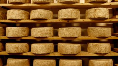 Is Raw Milk Cheese Dangerous?