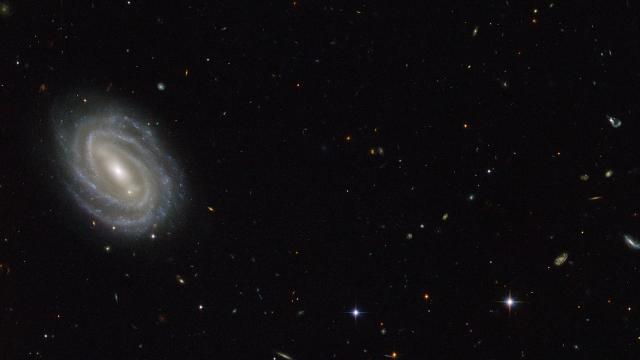 Distant Galaxies Look Mysteriously Different From Our Own