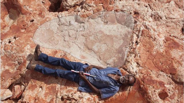 Largest-Ever Dinosaur Footprint Found In Australia’s Jurassic Park