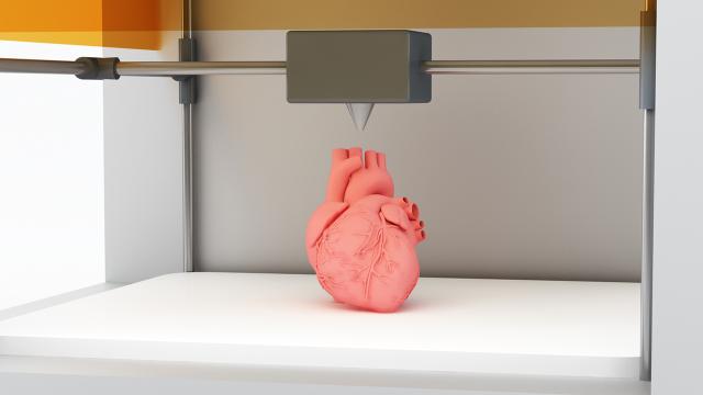 Australians Are Keen For 3D Printed Organ Transplants