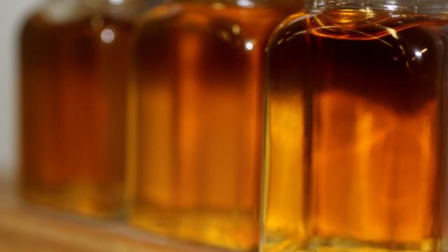 Delicious Maple Syrup Enlisted In Bitter Fight Against Antibiotic Resistance