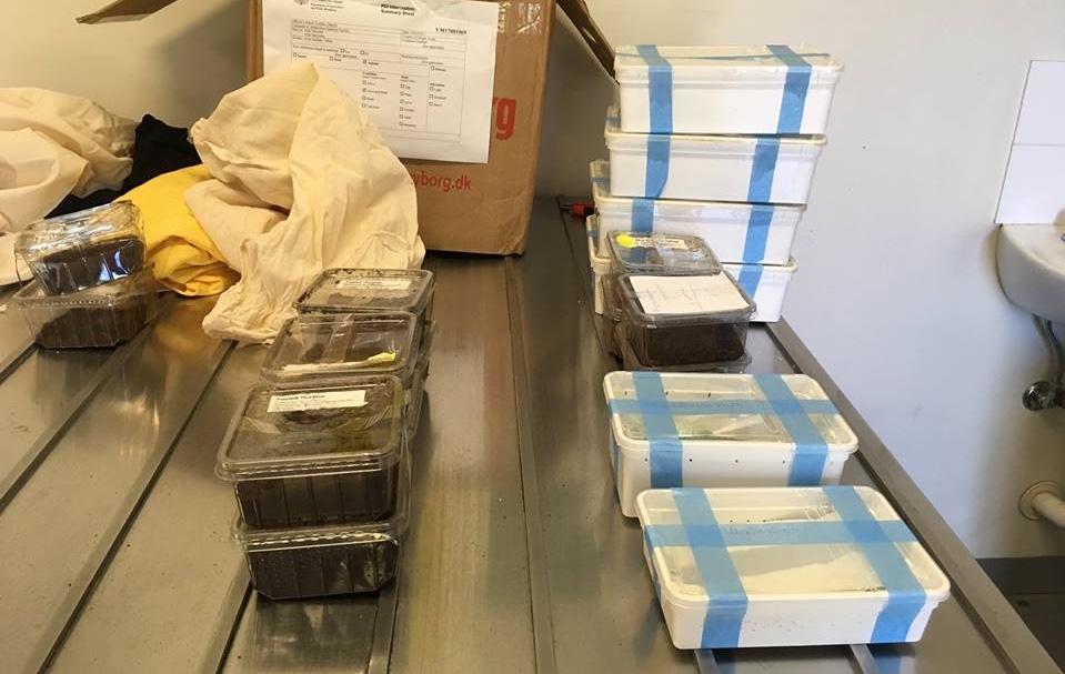 Idiots Try To Ship Venomous Snakes And Spiders To Australia, As If It Needed More