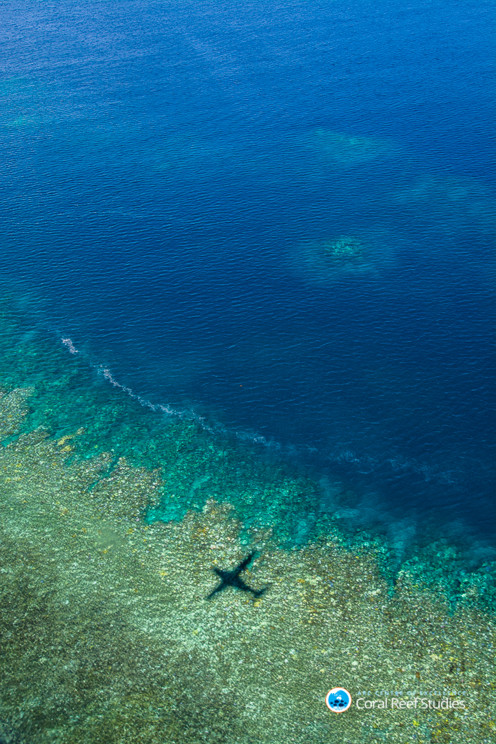 Two Thirds Of The Great Barrier Reef Is Now Officially Bleached