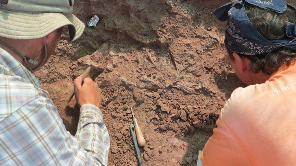 Scientist Publishes Important New Dino Relative 20 Years After His Death