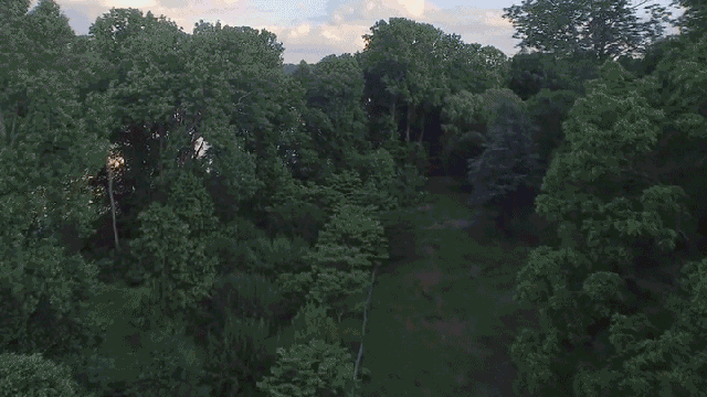 Fast-Forward Through Two Years Of Stunning Seasonal Changes With This Drone Timelapse