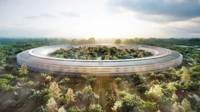 Apple Is Buying All The Good Trees For Its New Campus, And The Tree People Are Fighting Back
