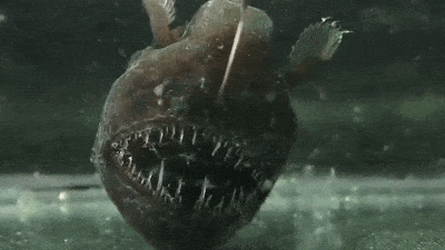 Ten Horrifying Deep Sea Creatures, Ranked