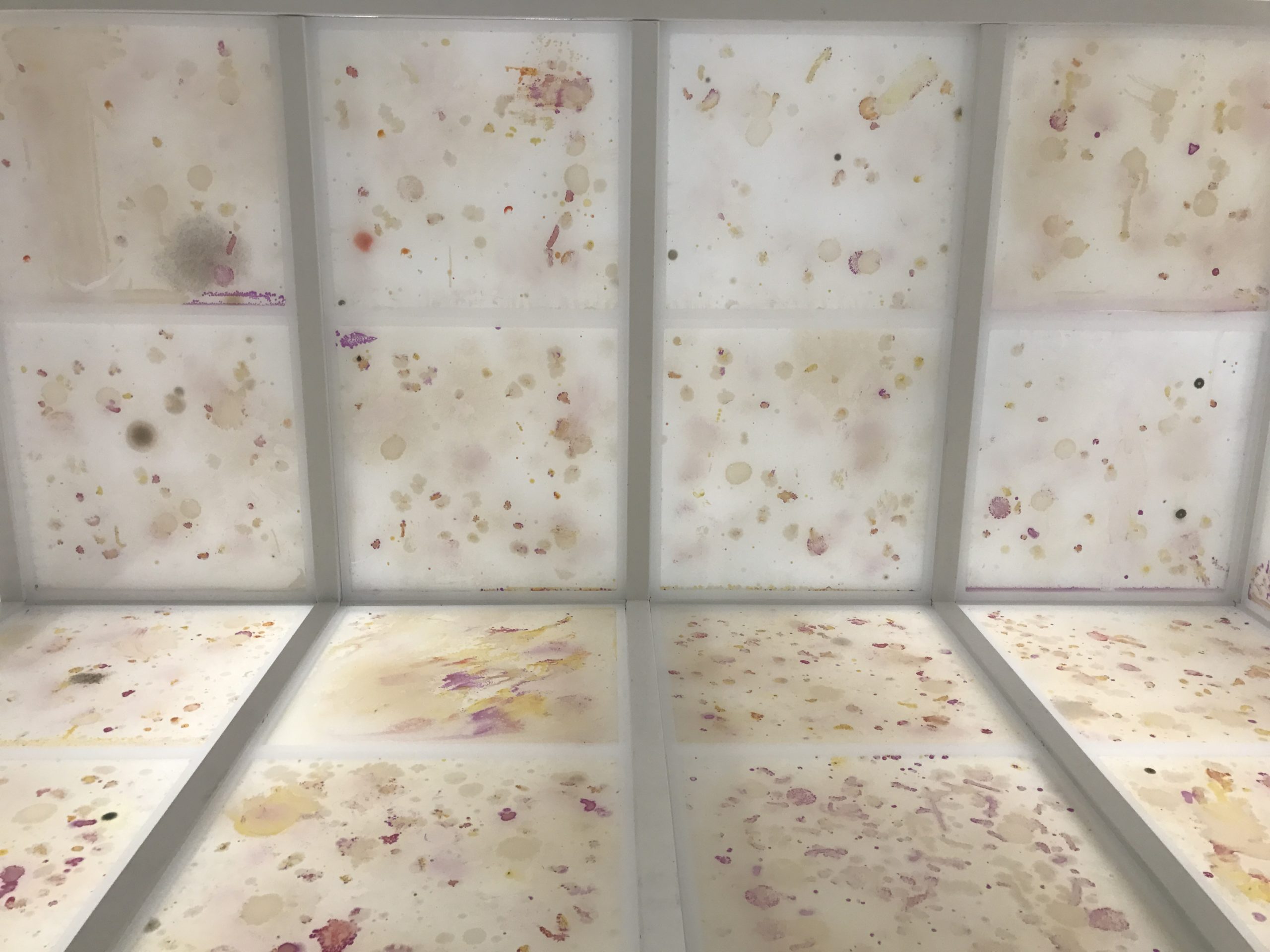 This Art Exhibition Is Made From Bacteria, Live Insects And Human Sweat