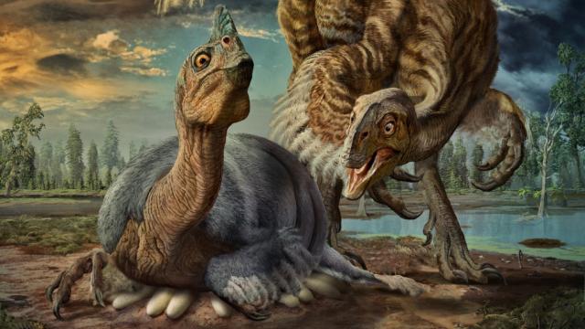 Celebrated ‘Baby Louie’ Fossil Identified As New Dinosaur Species