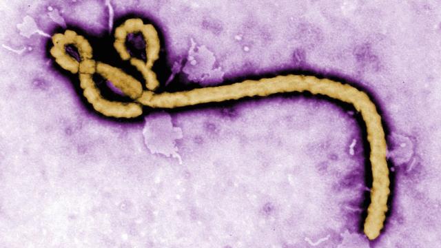 A Controversial Ebola Vaccine May Get Its First Real World Test In Congo