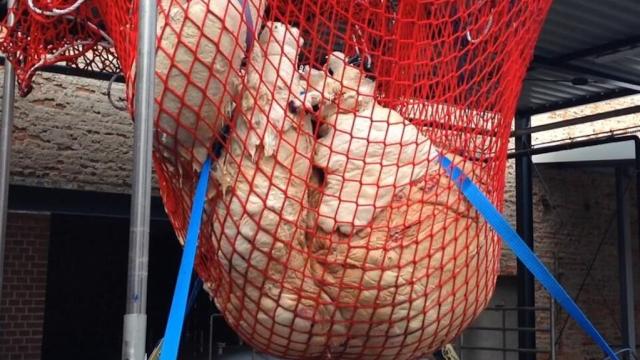Here’s How Much Bubble Wrap You Need To Wrap A Giant Whale Heart