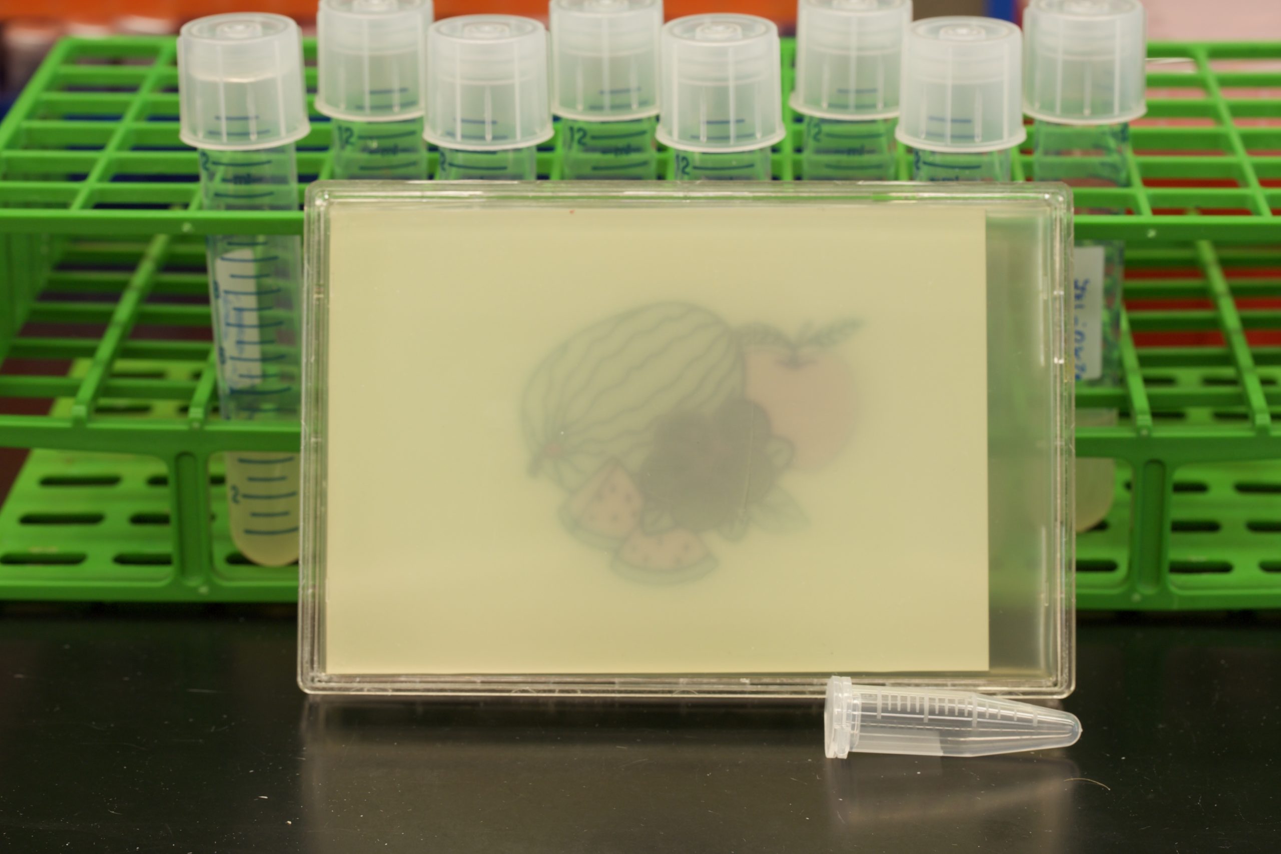 Scientists Engineered Bacteria To Make Picture Of Super Mario