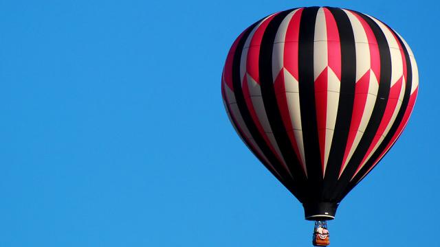 Texas Wants People To Hunt Feral Hogs From Hot Air Balloons