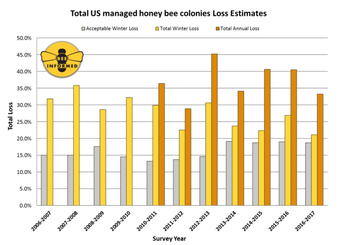 A Third Of America’s Bee Colonies Died Last Year And That’s ‘Good News’?