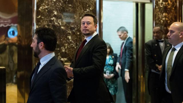 Elon Musk Quits Donald Trump