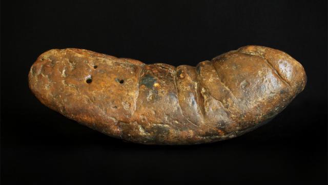 Particle Accelerators Are Changing The Way We Look At Ancient Turds