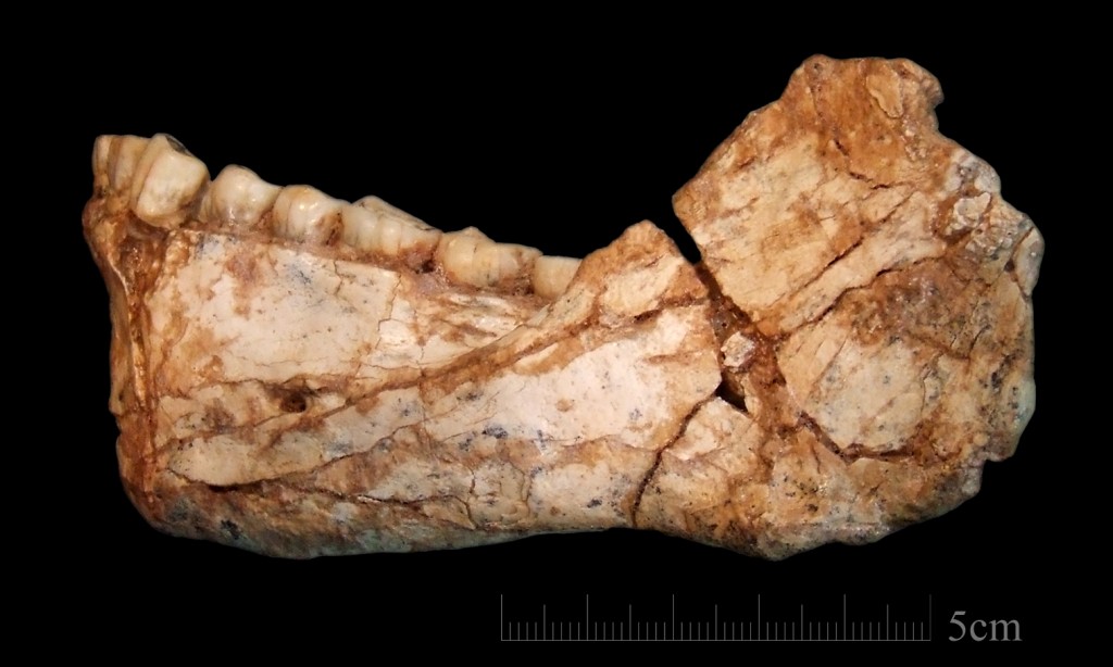 Incredible Discovery Pushes Back Origin Of Homo Sapiens By 100,000 Years