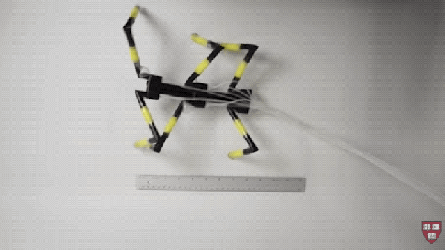 These Freaky Robots Were Built From Drinking Straws And Inspired By Spiders