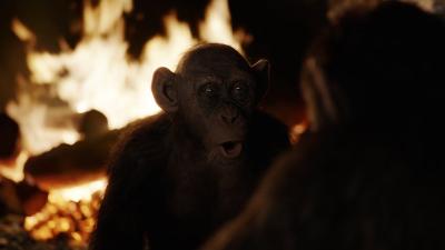 Meet Bad Ape, Steve’s Zahn’s Neurotic, Lonely War For The Planet Of The Apes Character