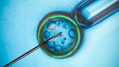 This Controversial Doctor Wants To Use ‘Three-Parent’ Embryos To Treat Infertility