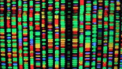 This Study Is Forcing Scientists To Rethink The Human Genome