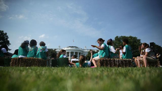 US Girl Scouts Can Soon Earn Cybersecurity Badges Because Girls Want To Hack Stuff, Not Get Bullied Online