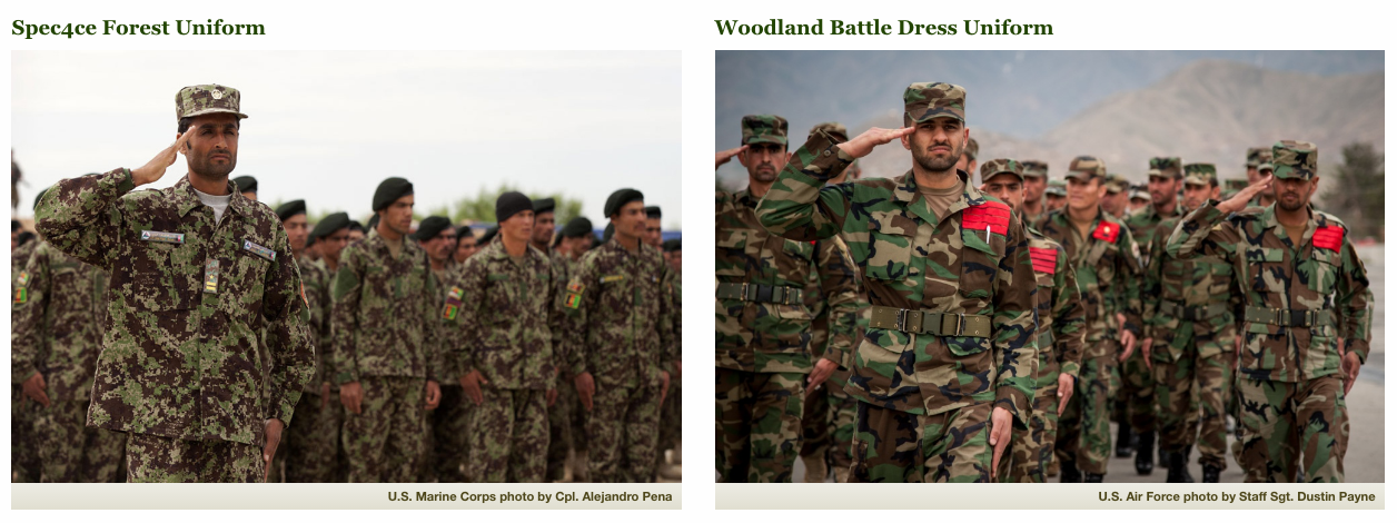 The US Government Says It Wasted Millions Of Dollars Dressing The Afghan Army In Proprietary Camouflage