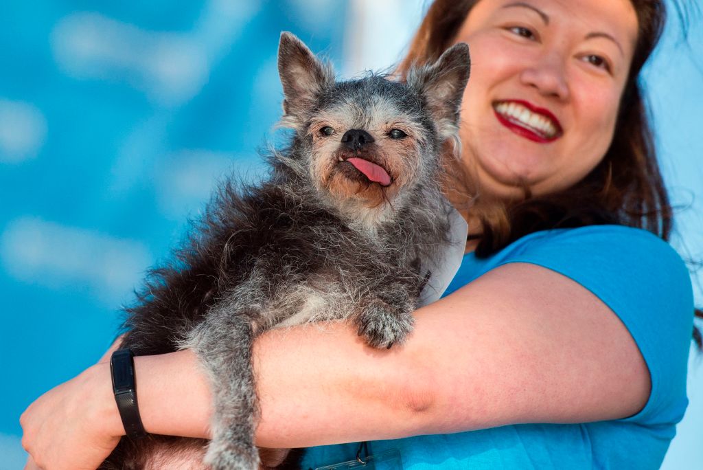 The World’s Ugliest Dog Competition Winner Was Only, Like, The Fourth Ugliest Dog