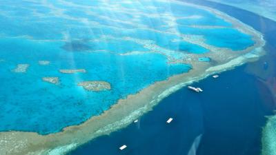Australia’s Great Barrier Reef Has Been Valued At A Whopping $56 Billion