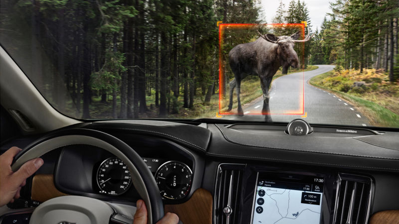 Volvo’s Driverless Cars Can’t Figure Out Kangaroos
