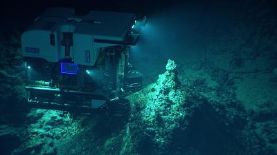 The Impacts Of Deep Ocean Mining Will ‘Last Forever’, Scientists Warn