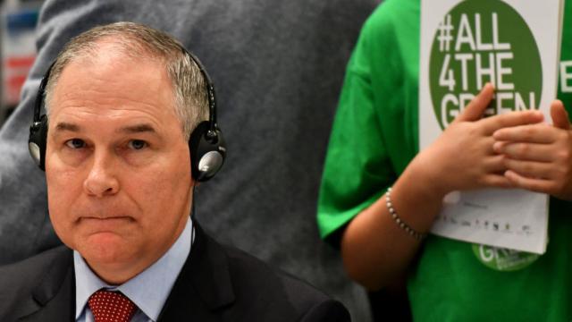 EPA Head Met With CEO Of Dow Before Rejecting Ban On Dow’s Toxic Pesticide
