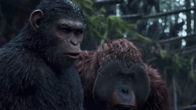 Here’s Your Requisite ‘Shows The Whole Damn Thing’ War For The Planet Of The Apes Trailer 