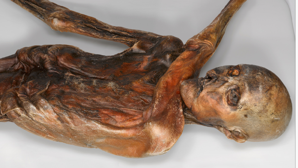 Ötzi The Iceman’s Axe Came From Surprisingly Far Away