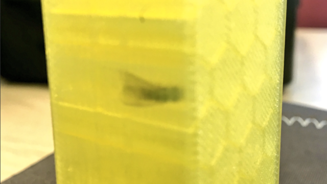 Fly Trapped In A 3D Printed Block Is A 21st Century Fossil