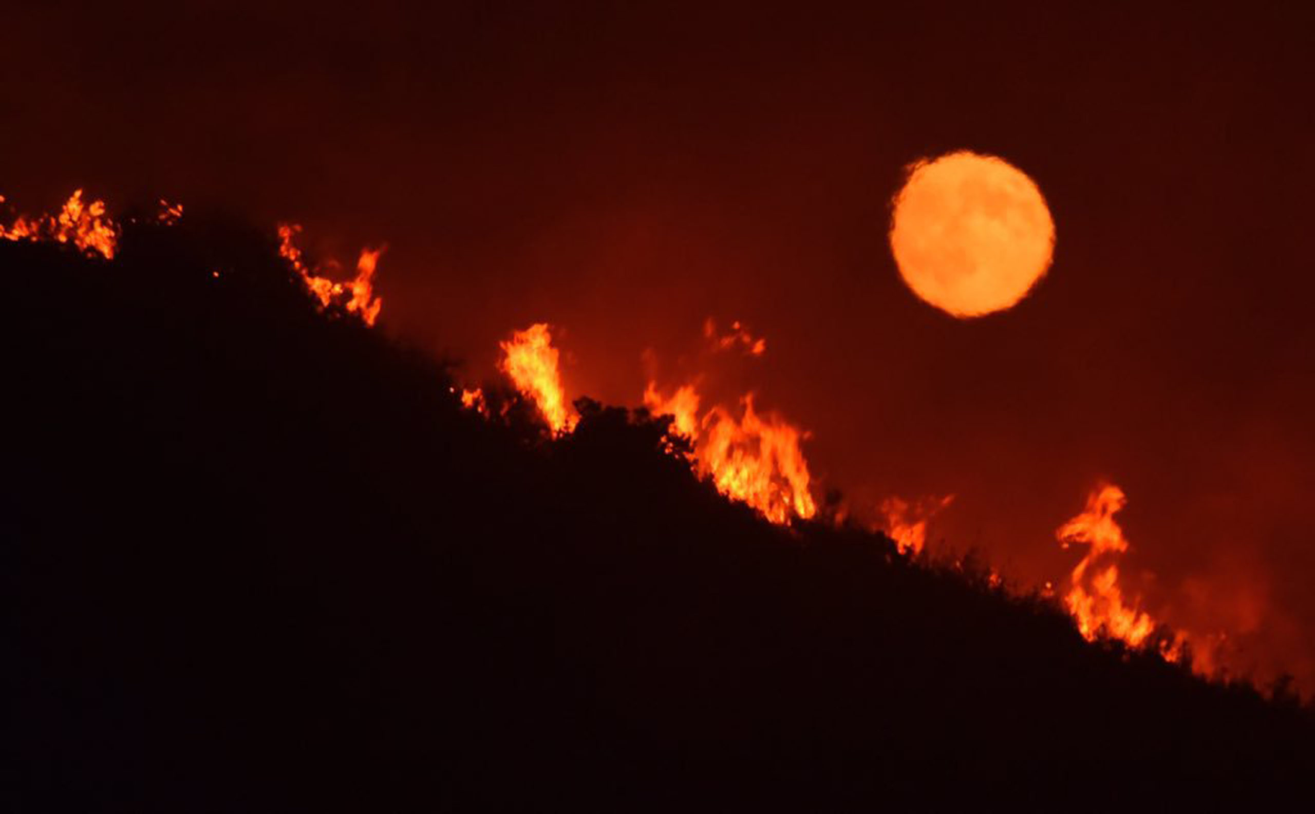 Hundreds Of Bushfires Are Barrelling Through The Western US And Canada