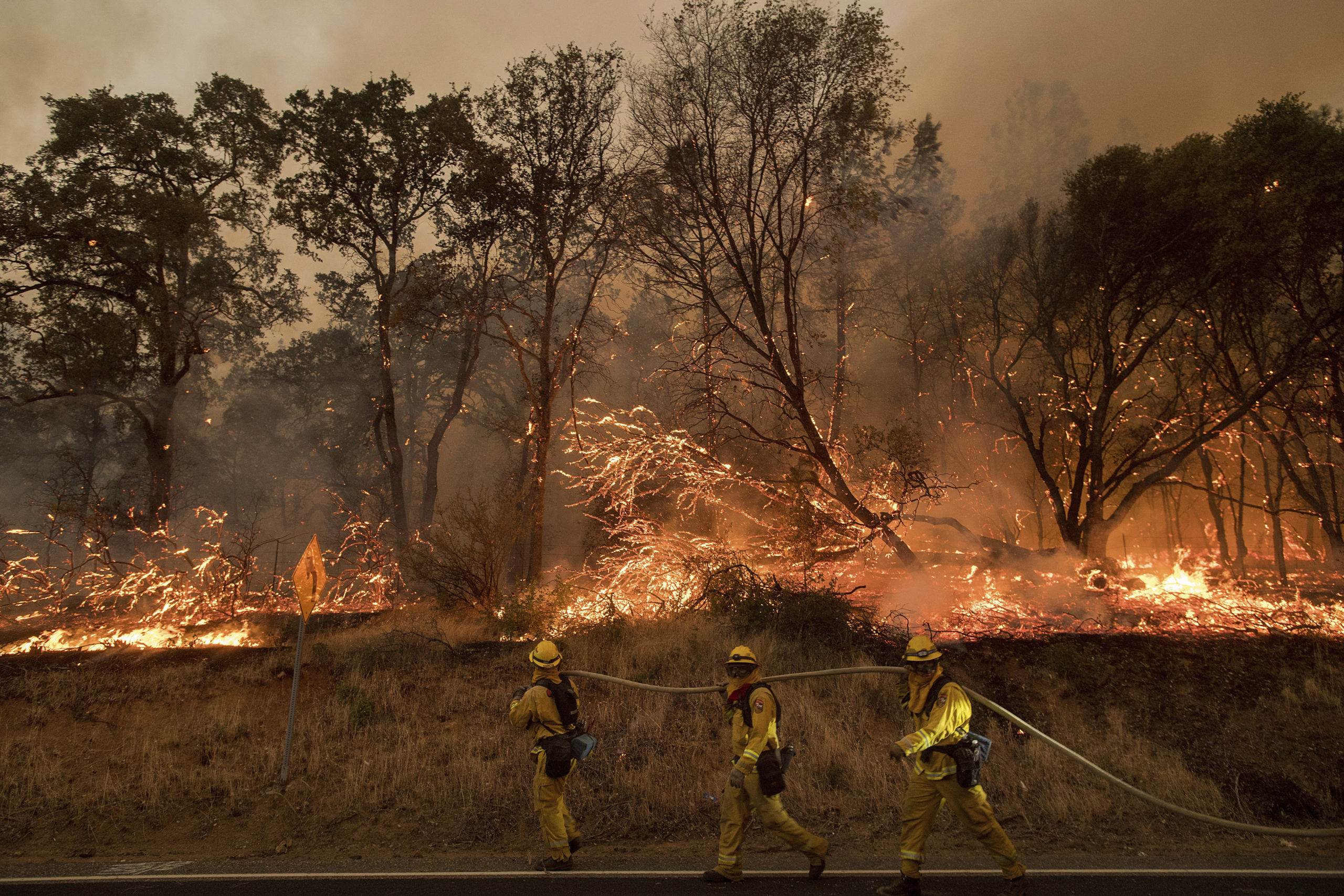 Hundreds Of Bushfires Are Barrelling Through The Western US And Canada