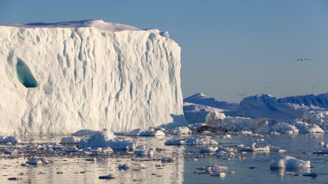 Why Is Greenland’s Ice Sheet Covered In Industrial Waste-Chowing Bacteria?