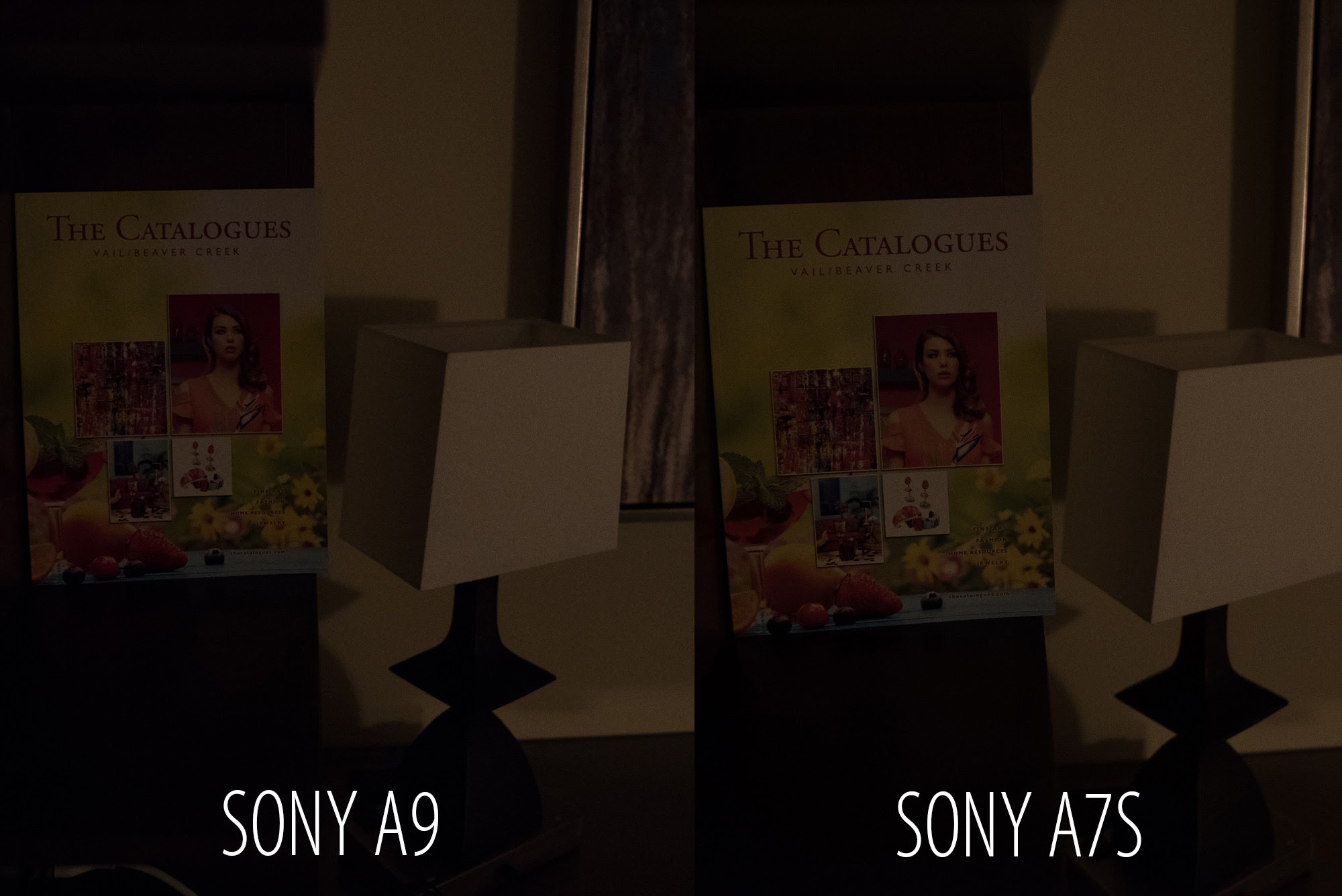 Sony A9 Camera: The Gizmodo Review
