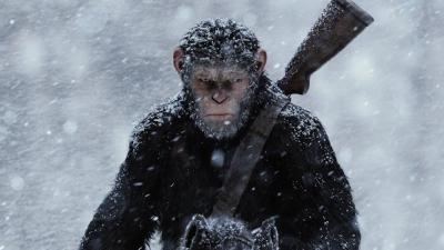 It’s Not Just The Apes That Aren’t Real In War For The Planet Of The Apes