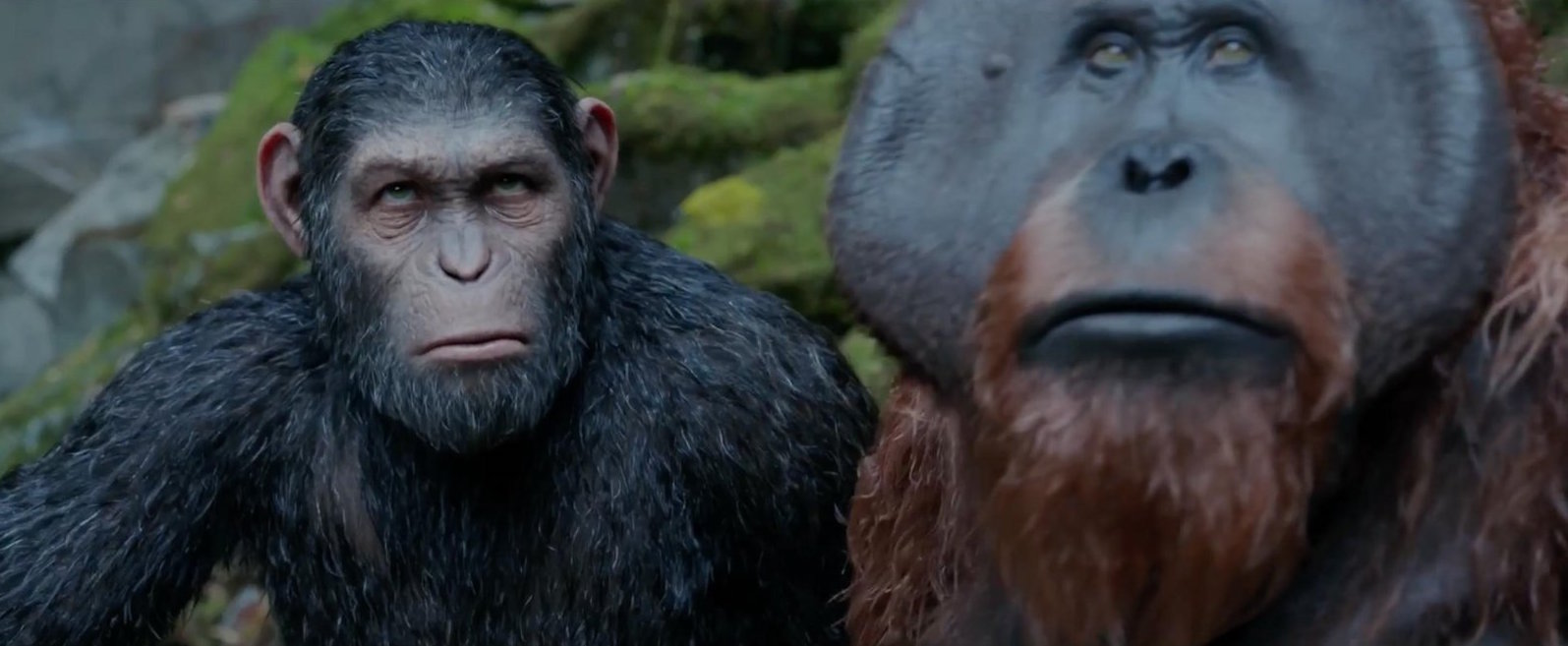 Why War For The Planet Of The Apes Ended The Way It Did (And Where It Could Go Next)